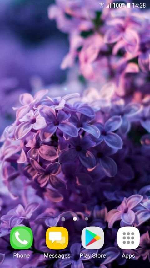 Beautiful Spring Flowers Live Wallpaper screenshot 5