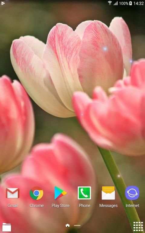 Beautiful Spring Flowers Live Wallpaper screenshot 2