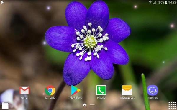 Beautiful Spring Flowers Live Wallpaper screenshot 1