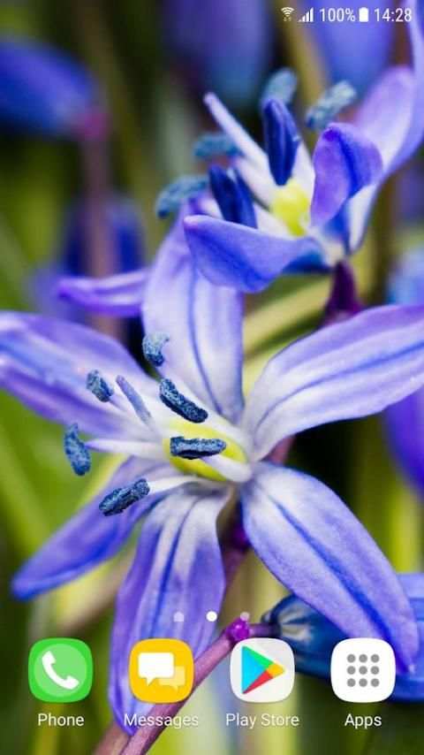Beautiful Spring Flowers Live Wallpaper screenshot 8