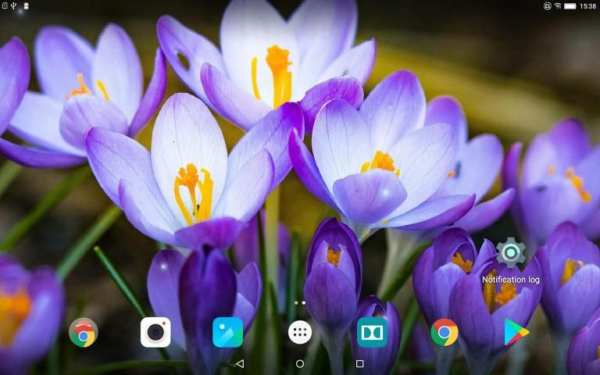 Beautiful Spring Flowers Live Wallpaper screenshot 3