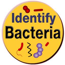 Bacteria Identification Made Easy | Free & Offline