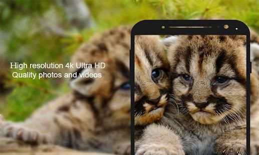 Digital SLR Camera screenshot 11