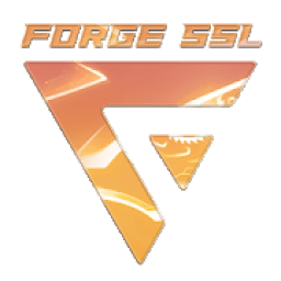 ikon ForgeVPN SSL