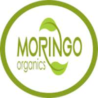 Moringo Organics on 9Apps