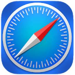 Safari 3.2.2