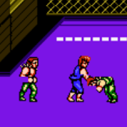 ikon Classic Double Dragon 1-4