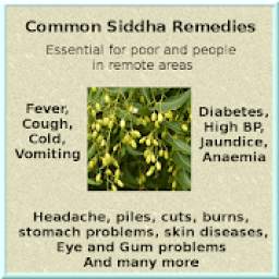 Common Siddha Home Remedies