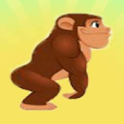 Monkey Jungle Adventure Game : Monkey Game Banana