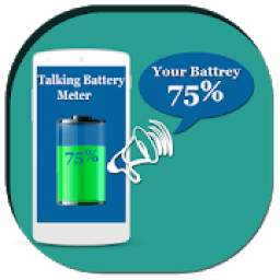 Talking Battery Meter