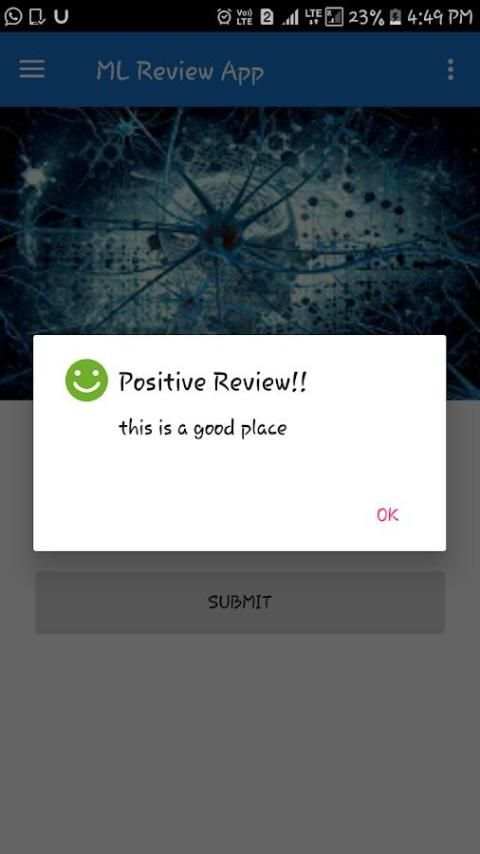 ML ReviewApp screenshot 3