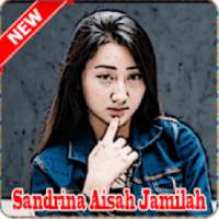 Aisah Jamilah By Sandrina Offline Mp3 on 9Apps