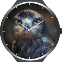 Birds Watch Faces