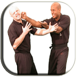 ikon Best Wing Chun Technique