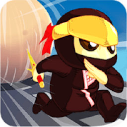 ikon Big Big Ninja Ball