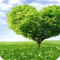 Nature Wallpaper आइकन