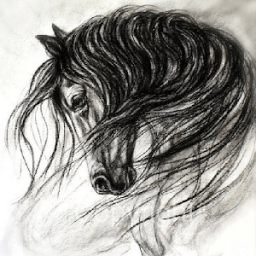 ikon Sketch and Draw a Horse