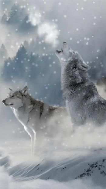 Galaxy ice wolf live wallpaper screenshot 4
