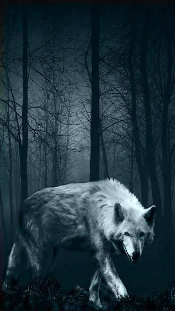 Galaxy ice wolf live wallpaper screenshot 3