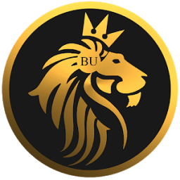 ikon Build Ultra Inc.