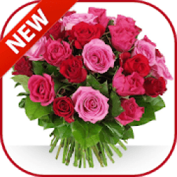 ikon Beautiful Flowers Bouquet Of Roses *