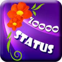 10000 status for social chat