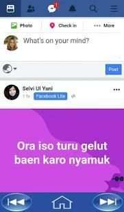 Facebook Pro screenshot 1