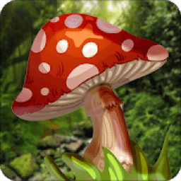 ikon Go odmar commander