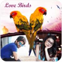 Love Birds Dual Photo Frame on 9Apps