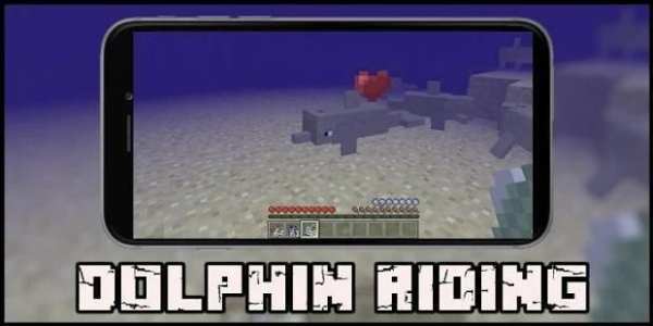 Dolphin Riding Mod for MCPE screenshot 3