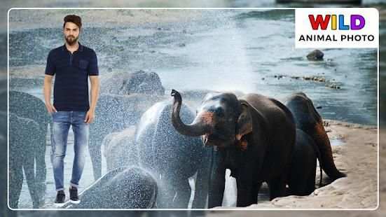 Wild Animal Photo Frames screenshot 6