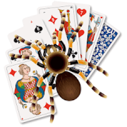 ikon سوليتير العنكبوت بدون انتر نت
‎