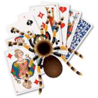 سوليتير العنكبوت بدون انتر نت
‎