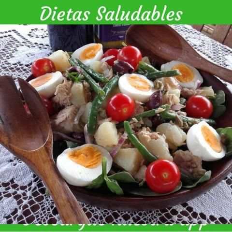Dietas Saludables screenshot 2