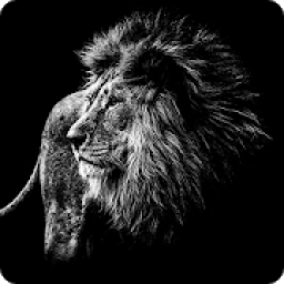 حكم تقوي شخصيتك
‎ icon