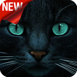 ikon Найди Кота - Игра на внимательность