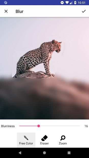 Blur Image Background (Blur Photo Editor) screenshot 8