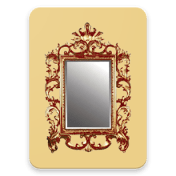 ikon Real Mirrror Camera