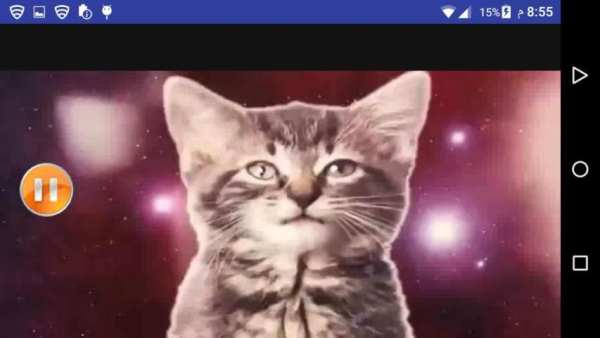 اغنية ورقصة القطط 2019 بدون انترنت
‎ screenshot 3
