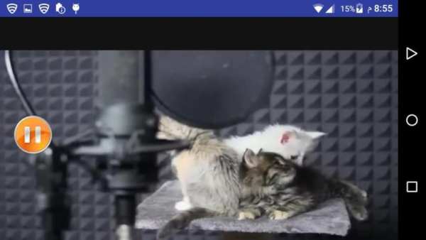 اغنية ورقصة القطط 2019 بدون انترنت
‎ screenshot 4