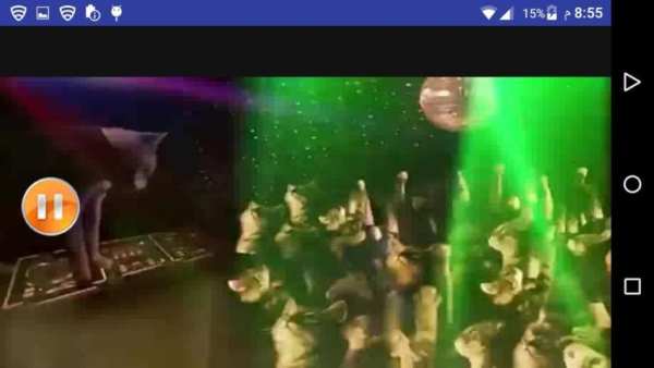 اغنية ورقصة القطط 2019 بدون انترنت
‎ screenshot 2