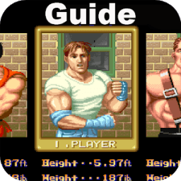 Guide for Final Fight आइकन