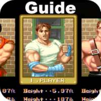 Guide for Final Fight