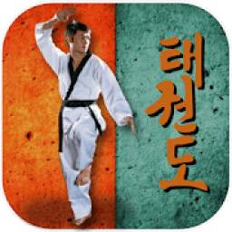 Taekwondo Pro