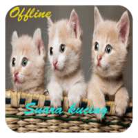 Suara Kucing Lucu on 9Apps