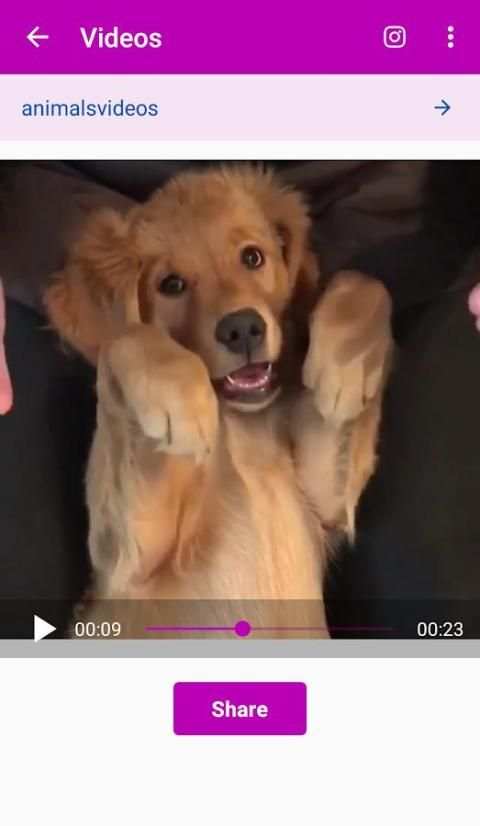 Images, Videos Download from Instagram - Sure Save screenshot 1