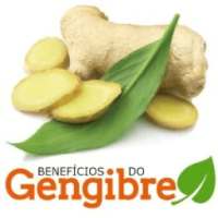 Os Benefícios do Gengibre para sua Saúde