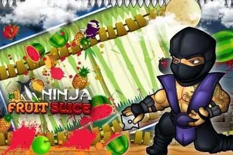 Ninja Fruit Slice screenshot 9