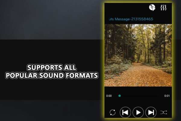 Offline Music Player screenshot 3