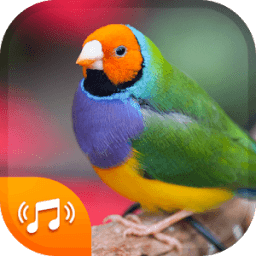 ikon Bird Sounds &amp; Bird Ringtones for Free 2018